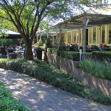 Hampshire - Avenarius رورلو