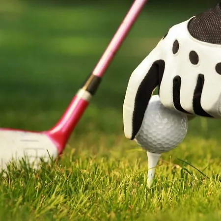 Hampshire - Avenarius Ruurlo