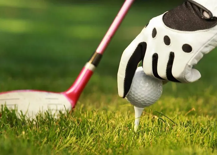 Hampshire - Avenarius Ruurlo